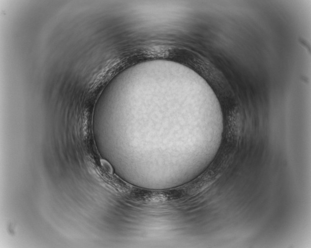 X0000101660600200807311437