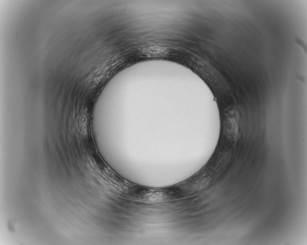 X0000101660604200807311437