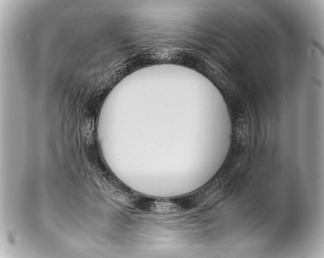 X0000101660605200807311437