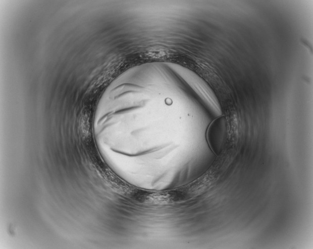 X0000101660606200807311437