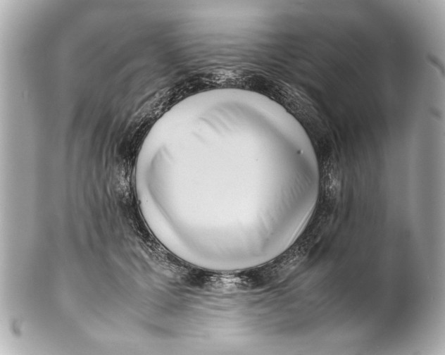 X0000101660607200807311437