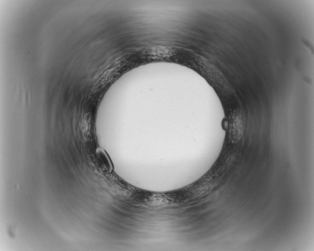 X0000101660608200807311436