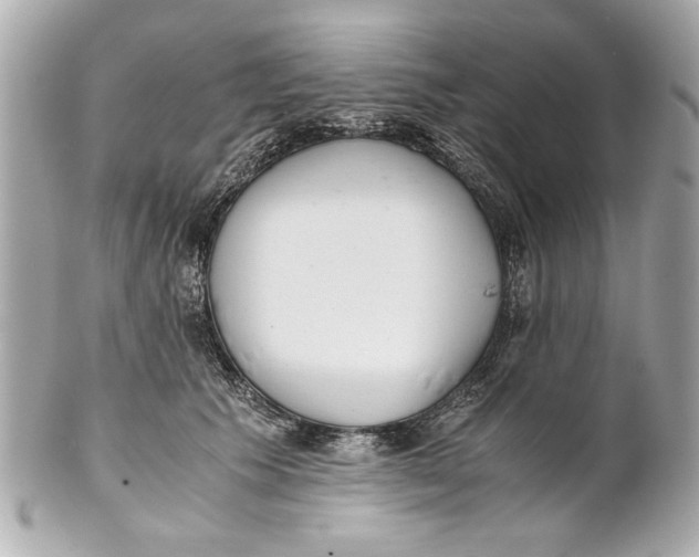 X0000101660609200807311436