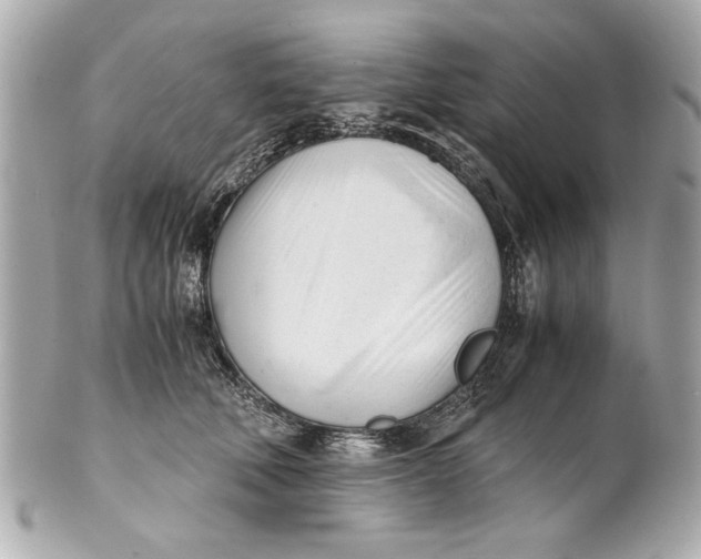 X0000101660610200807311436