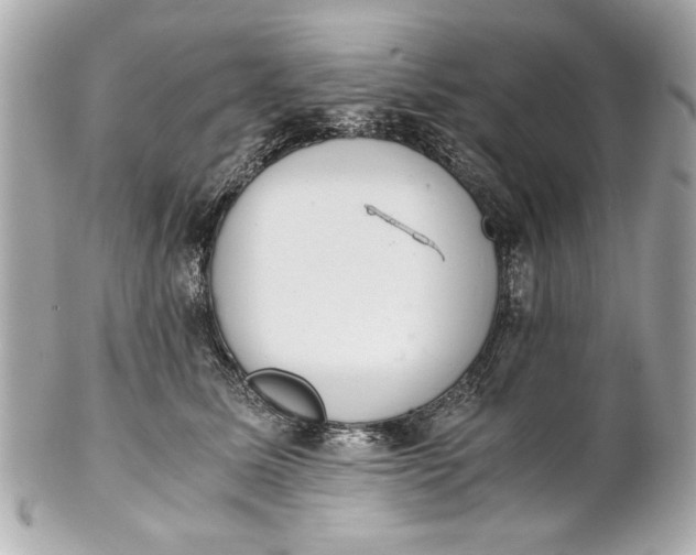 X0000101660611200807311436