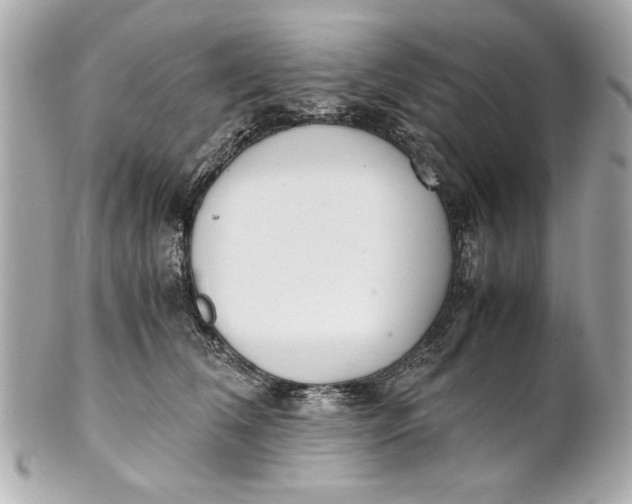 X0000101660612200807311436