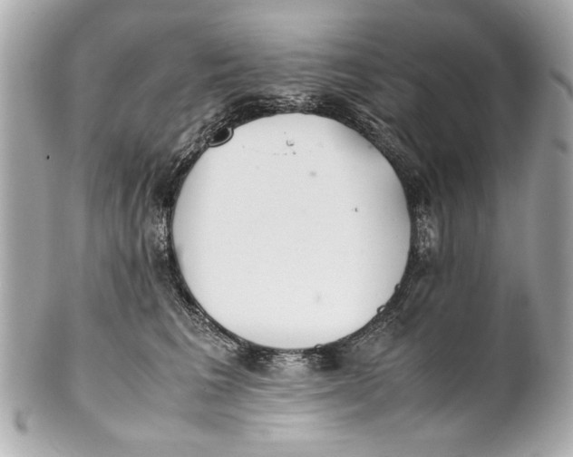 X0000101660613200807311436