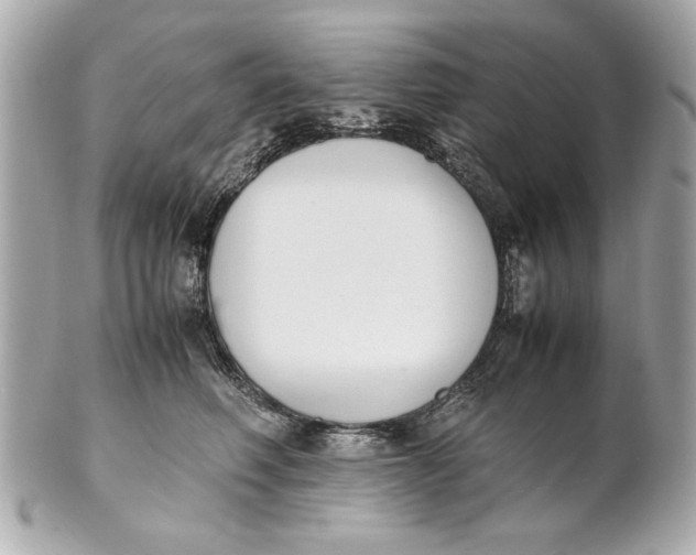 X0000101660614200807311436