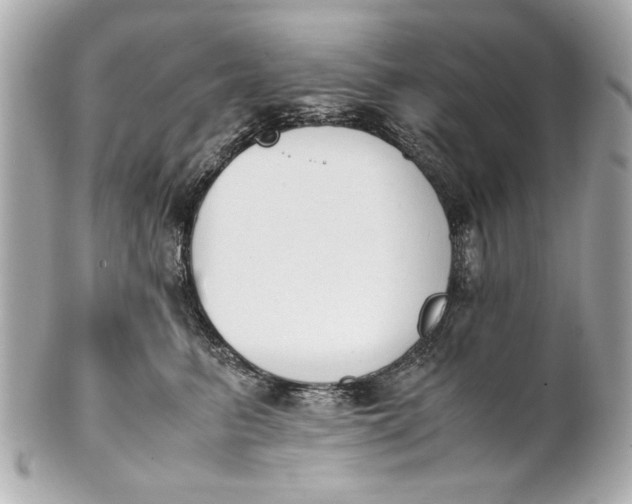 X0000101660615200807311436