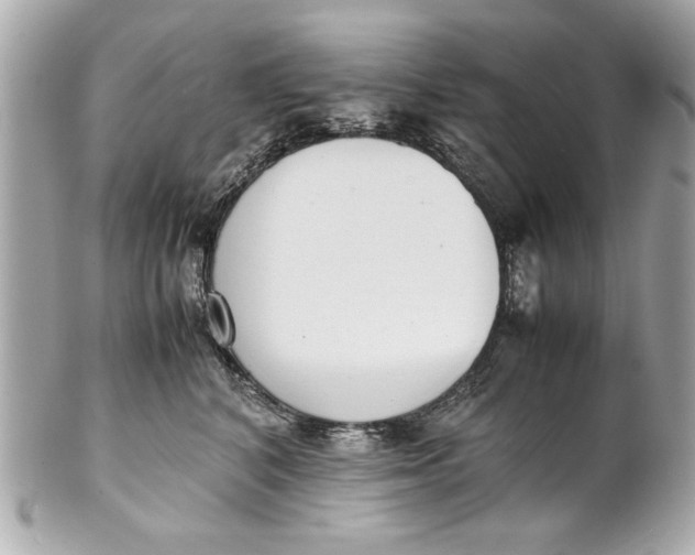 X0000101660616200807311436