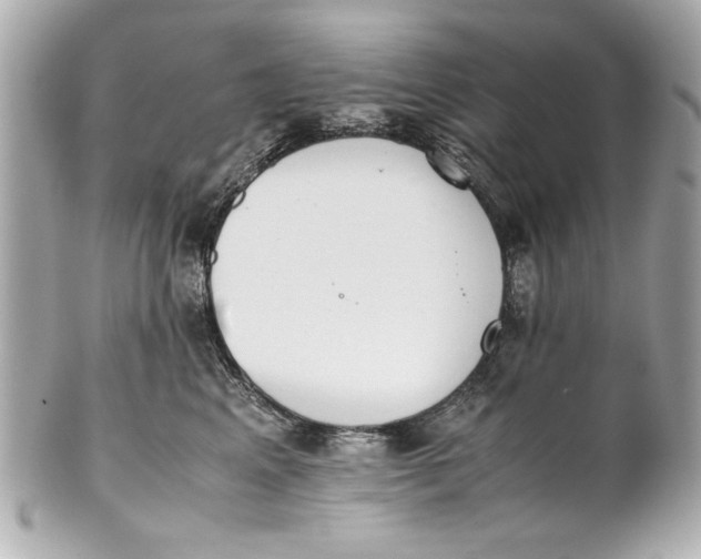 X0000101660617200807311436