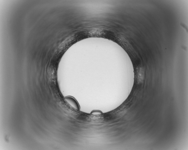 X0000101660619200807311436