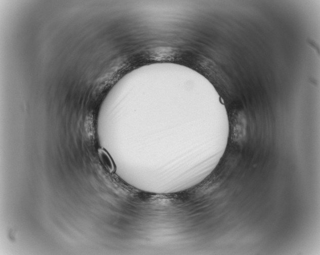 X0000101660620200807311436