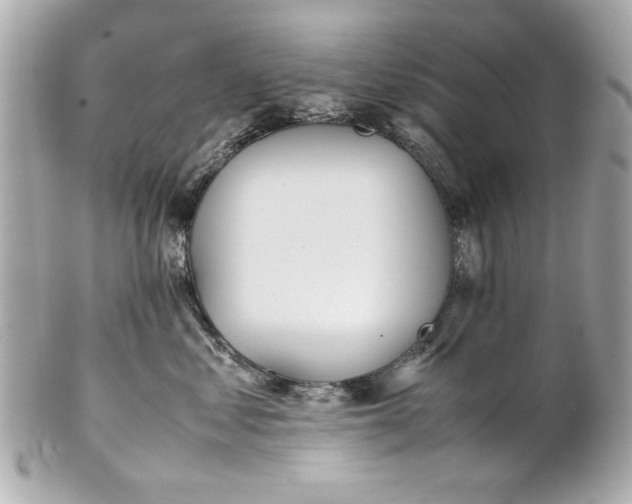 X0000101660621200807311436