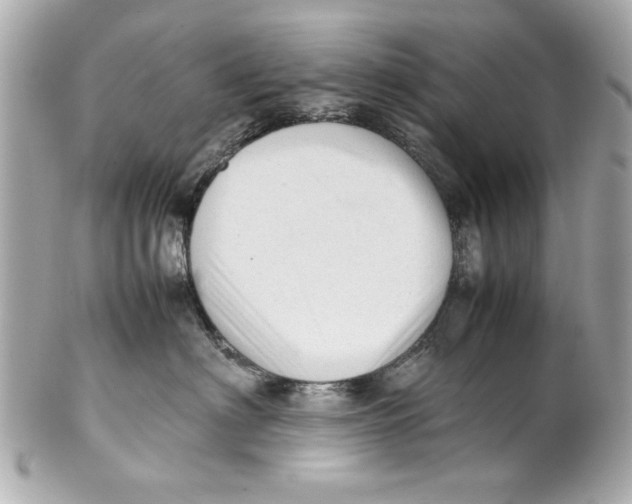 X0000101660622200807311436