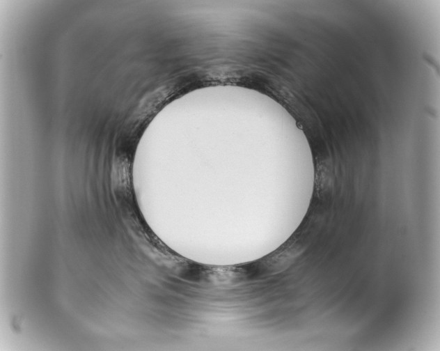 X0000101660623200807311436