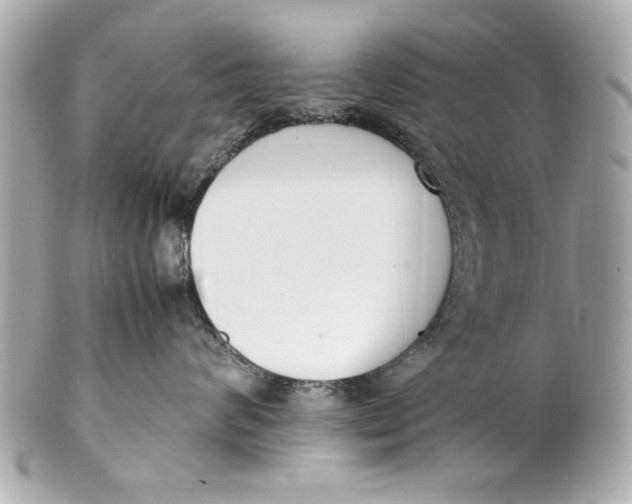 X0000101660624200807311436