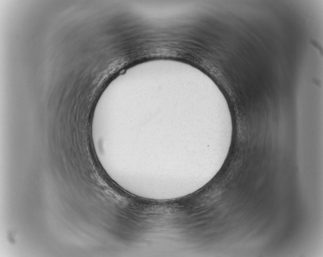 X0000101660625200807311436