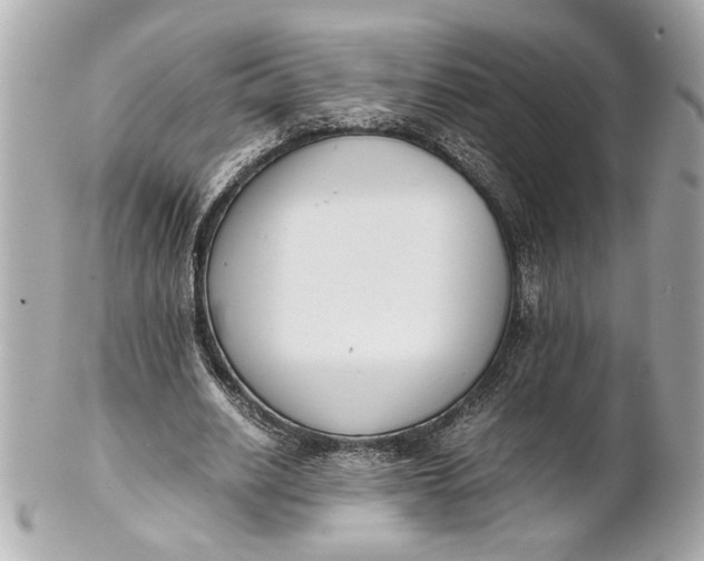 X0000101660630200807311436