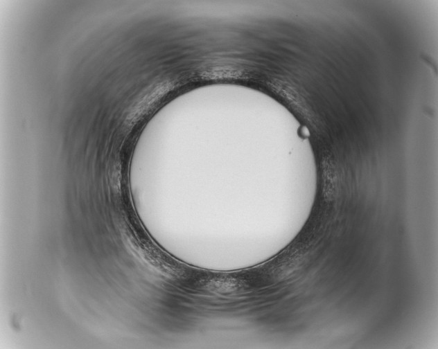 X0000101660631200807311436