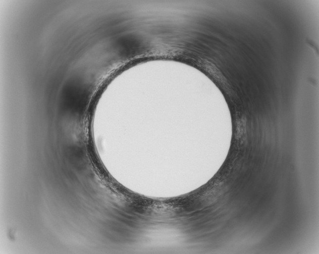 X0000101660632200807311436