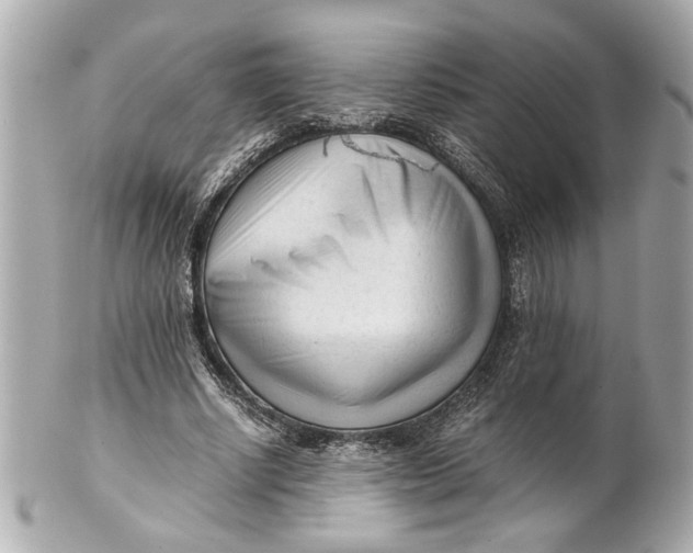 X0000101660634200807311436