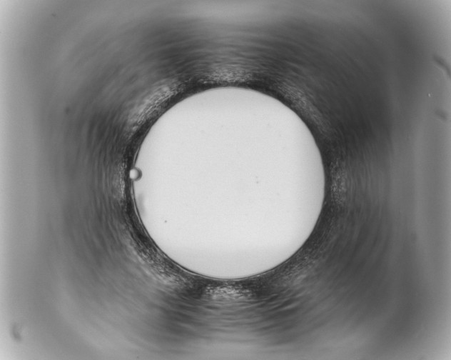 X0000101660635200807311436