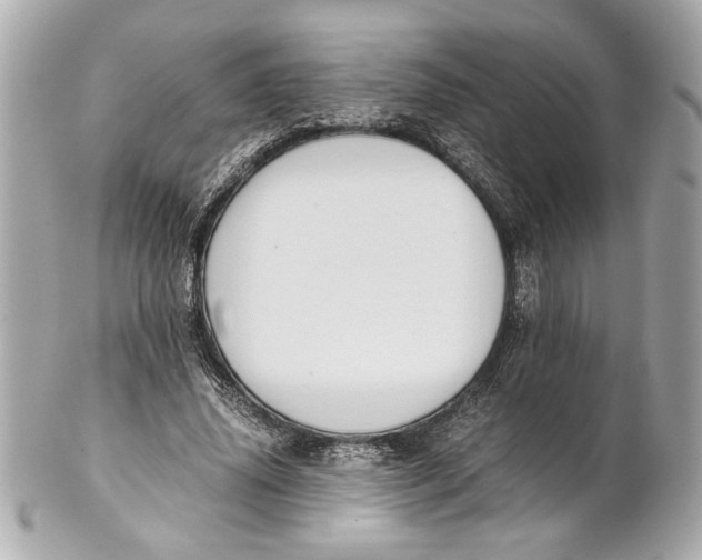 X0000101660636200807311436