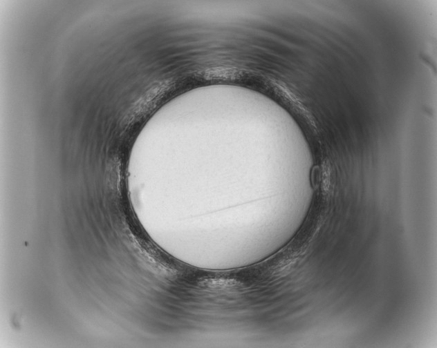 X0000101660637200807311436