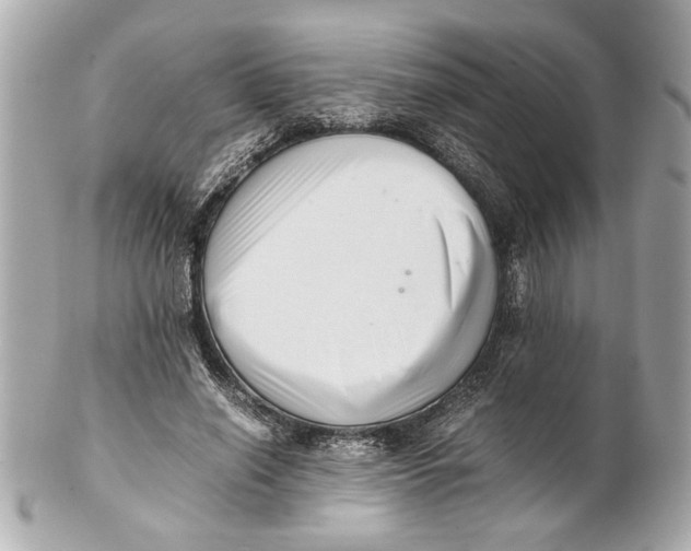 X0000101660638200807311436