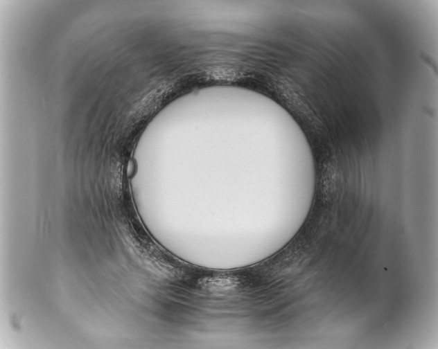 X0000101660639200807311436