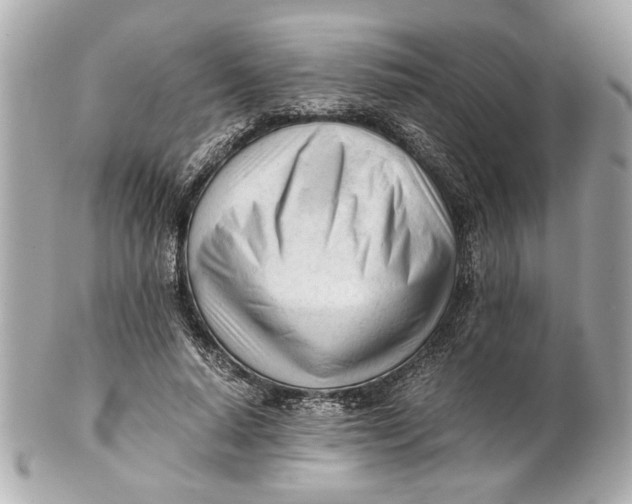 X0000101660640200807311436