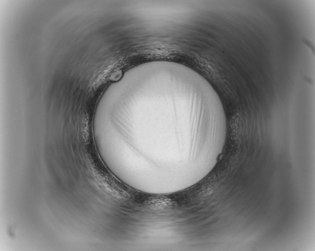 X0000101660642200807311436