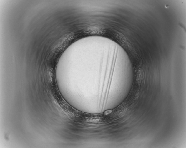 X0000101660643200807311436