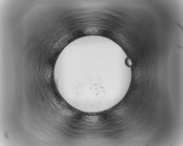 X0000101660645200807311436