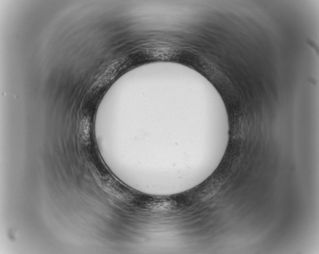 X0000101660646200807311436