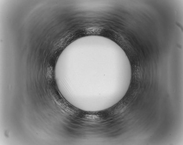 X0000101660649200807311436