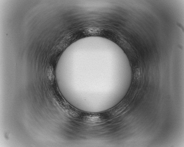 X0000101660651200807311436