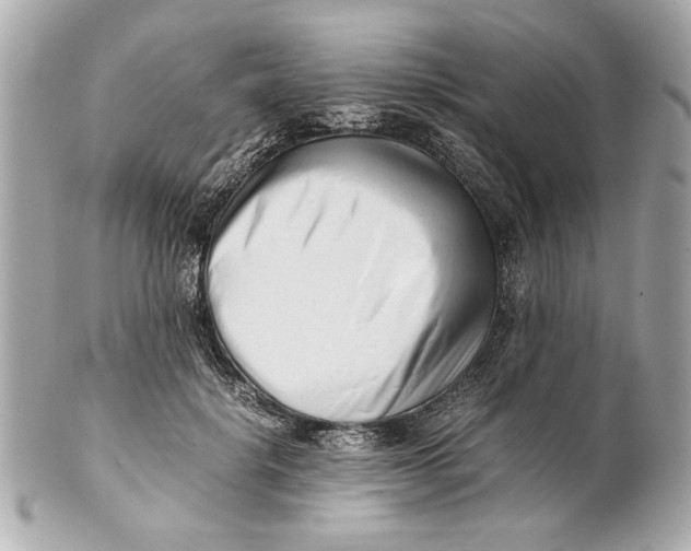 X0000101660652200807311436