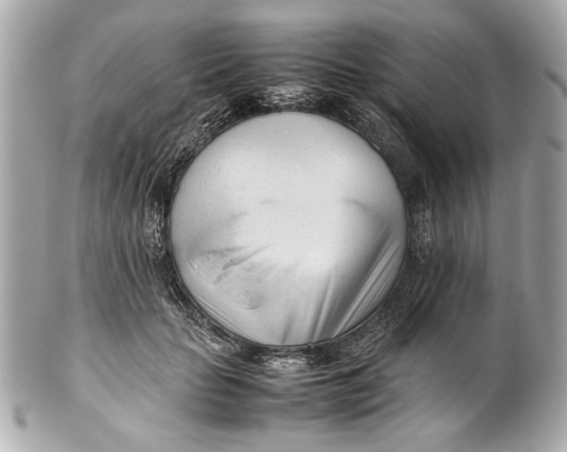 X0000101660653200807311436