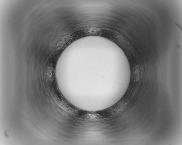 X0000101660654200807311436