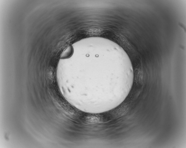 X0000101660655200807311436