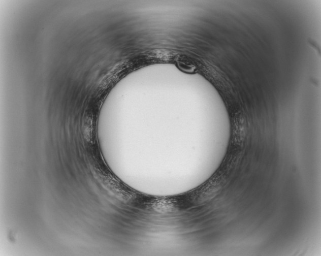 X0000101660656200807311436