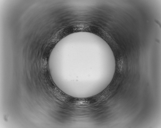 X0000101660657200807311436