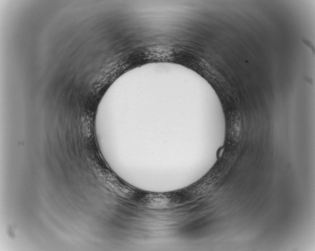 X0000101660658200807311436