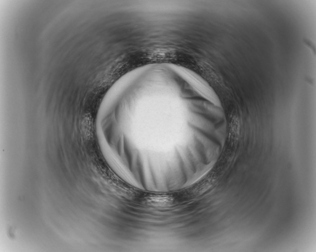 X0000101660659200807311436