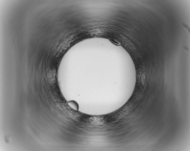 X0000101660660200807311436