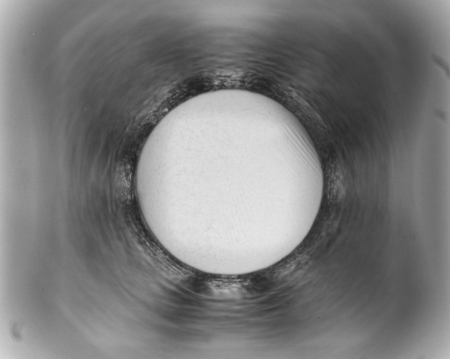 X0000101660661200807311436