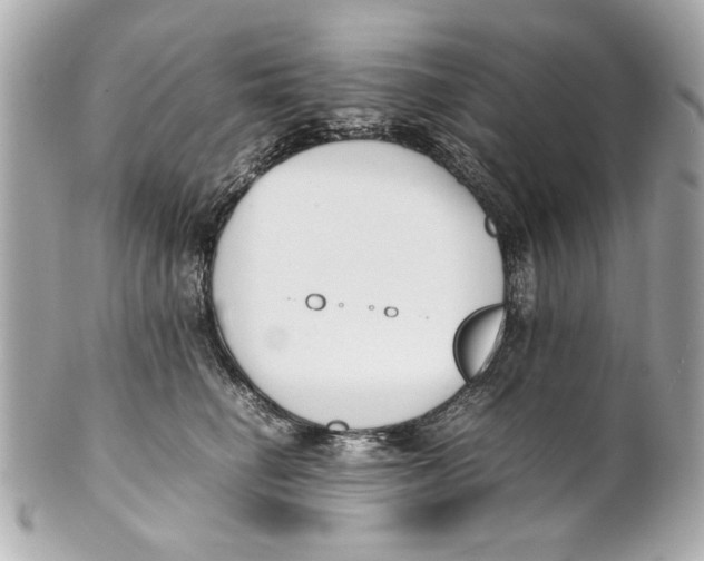 X0000101660662200807311436