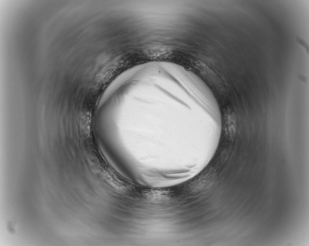 X0000101660664200807311436